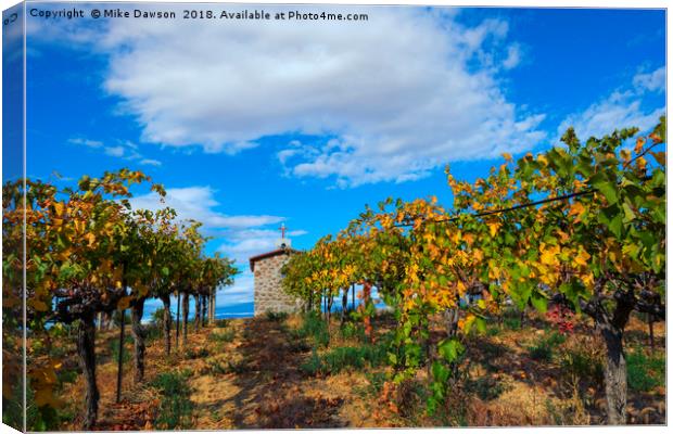 Vineyard Temple Canvas Print by Mike Dawson