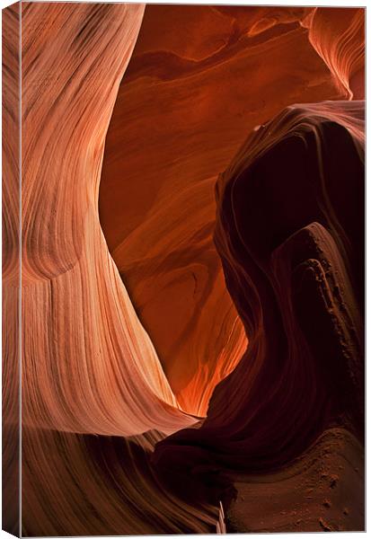 Light Chamber Canvas Print by Mike Dawson