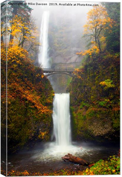 Multnomah Autumn Canvas Print by Mike Dawson