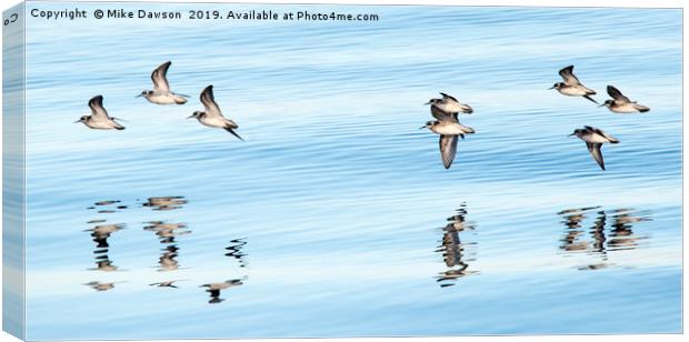 Refllections of Flight Canvas Print by Mike Dawson