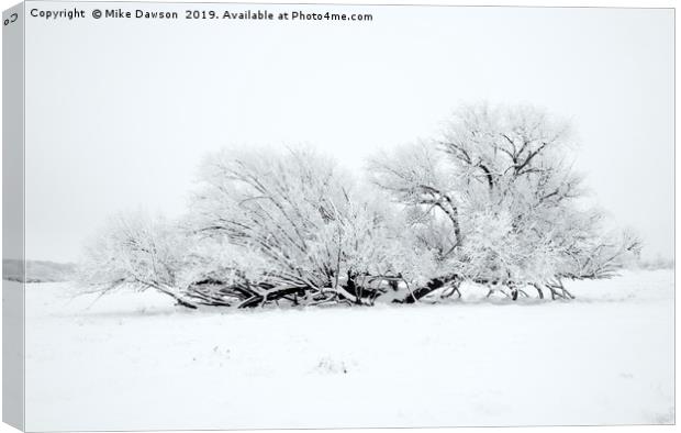 Frosted White Canvas Print by Mike Dawson