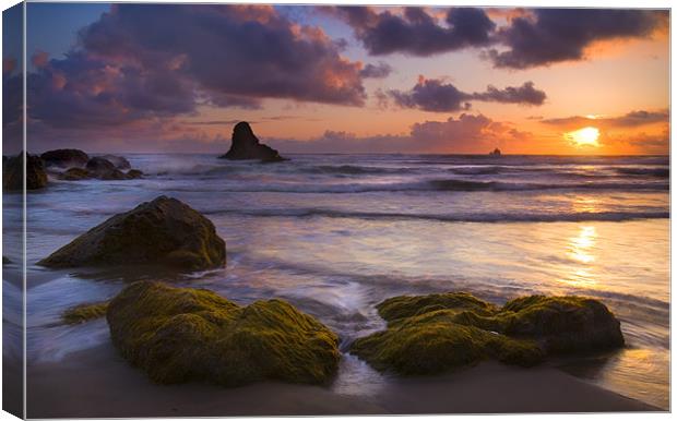Golden Tides Canvas Print by Mike Dawson
