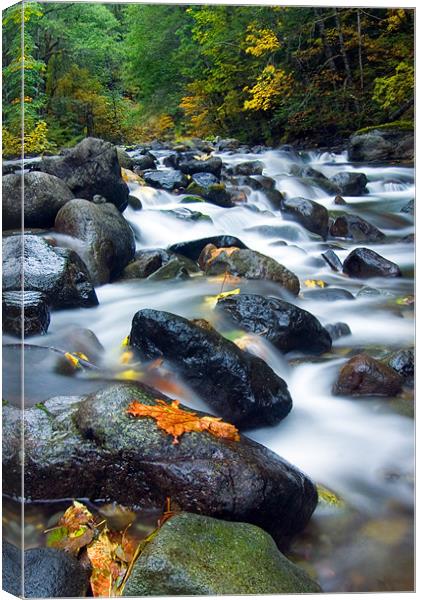 Flow of Autumn Canvas Print by Mike Dawson