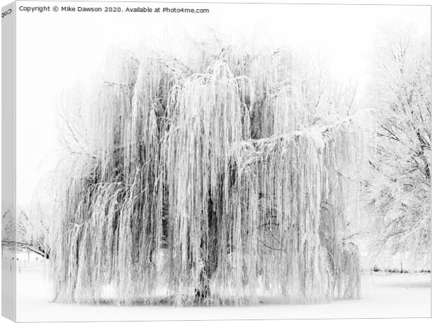 Frozen Willow Canvas Print by Mike Dawson