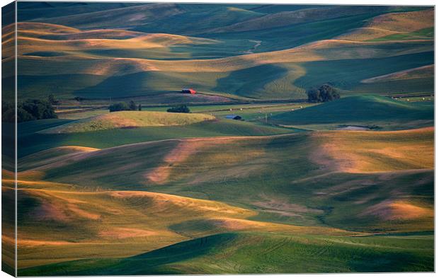 Red in a Sea of Green Canvas Print by Mike Dawson