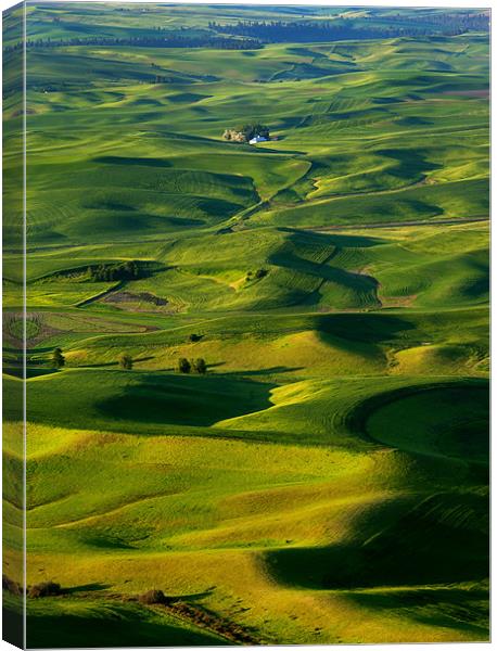 Palouse Morning Canvas Print by Mike Dawson