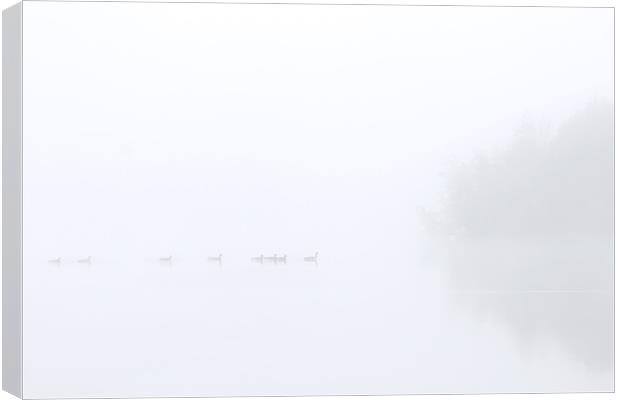 Out of the Fog Canvas Print by Mike Dawson