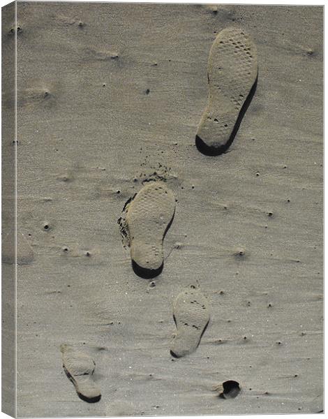 Footprints in the sand Canvas Print by Lisa Tayler