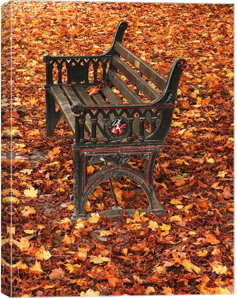 Park bench on a carpet of autumn leaves Canvas Print by Charlie Gray LRPS