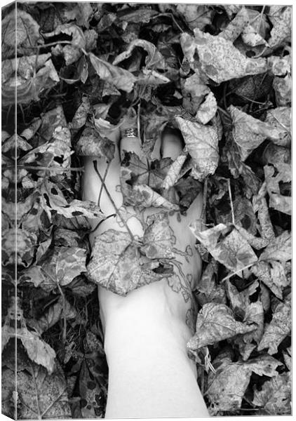 toes and leaves Canvas Print by rachael hardie