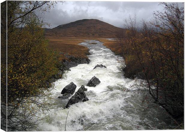 Rapid river through Scottish Highlands Canvas Print by Dave Wyllie