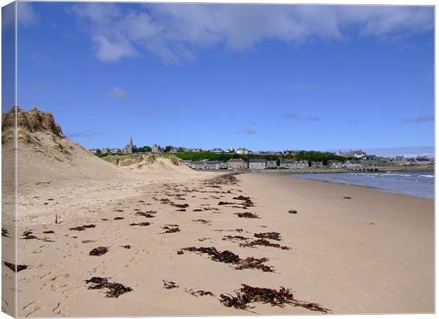 East Beach, Lossiemouth Canvas Print by Dave Wyllie