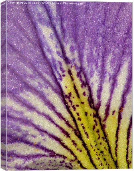 Blood Iris Petal Canvas Print by Julie Coe