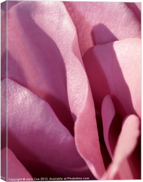 Pink Rose Canvas Print by Julie Coe