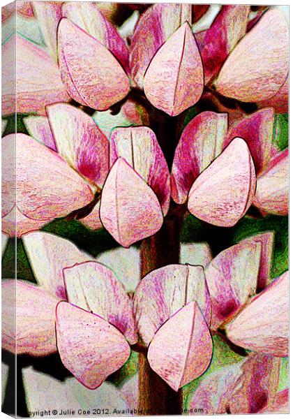 Drawing Lupins Canvas Print by Julie Coe