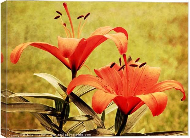 Lilies Canvas Print by Julie Coe