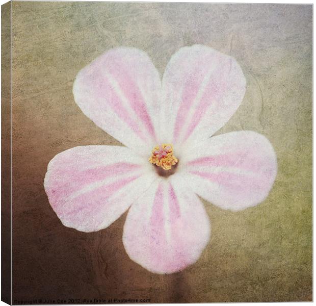 Bloom Canvas Print by Julie Coe