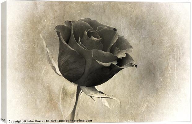 Black Rose Canvas Print by Julie Coe