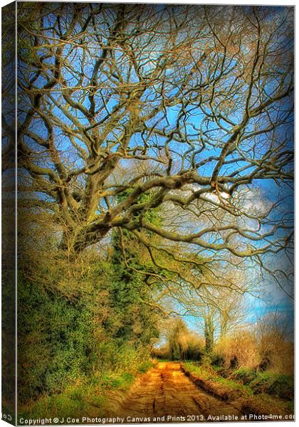 Country Walk Canvas Print by Julie Coe