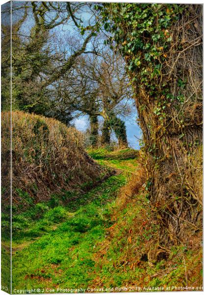 A Norfolk Country Lane Canvas Print by Julie Coe
