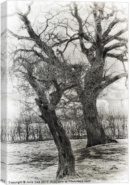 Black and White Trees Canvas Print by Julie Coe