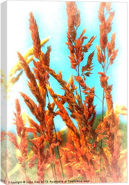 Meadow Grasses Canvas Print by Julie Coe