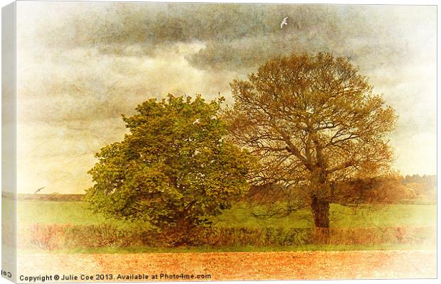 Trees and Seagulls Canvas Print by Julie Coe
