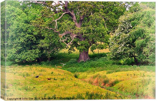 Game Meadow Canvas Print by Julie Coe