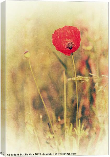 Red Poppy Canvas Print by Julie Coe