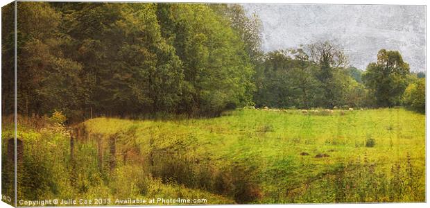 Bottom of the Meadow Canvas Print by Julie Coe