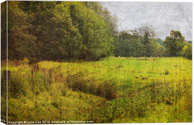 Bottom of the Meadow 2 Canvas Print by Julie Coe