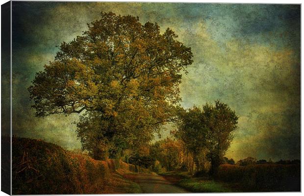 Country Road 3 Canvas Print by Julie Coe