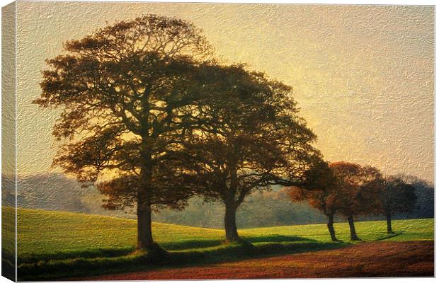 The 5 Trees v2 Canvas Print by Julie Coe