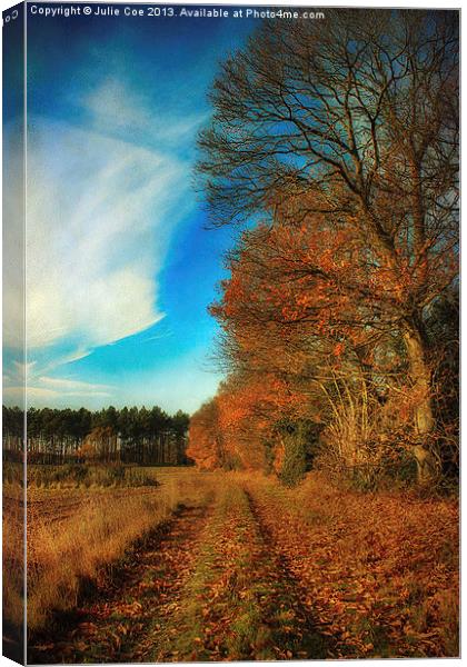 Autumn Walk Canvas Print by Julie Coe