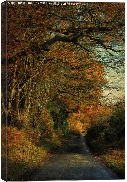To Little Barningham 2 Canvas Print by Julie Coe