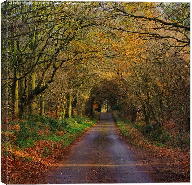 Little Barningham Colours Canvas Print by Julie Coe