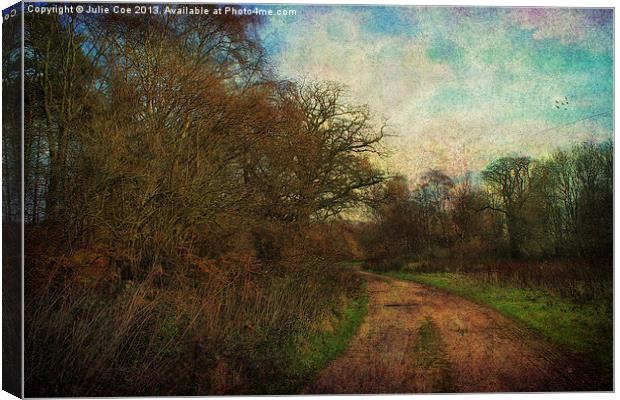 A Walk In The Country Canvas Print by Julie Coe