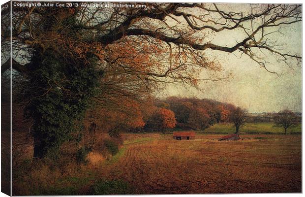 Fields and Barns Canvas Print by Julie Coe