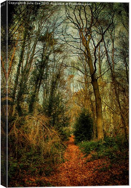 Among The Trees Canvas Print by Julie Coe