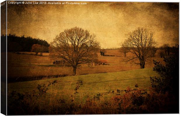 Trees, Fields and Barns Canvas Print by Julie Coe