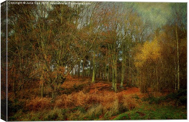 Woodland Colours Canvas Print by Julie Coe