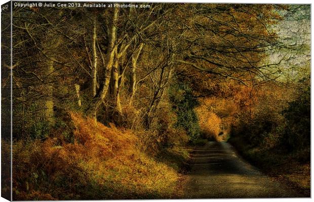 To Little Barningham 3 Canvas Print by Julie Coe