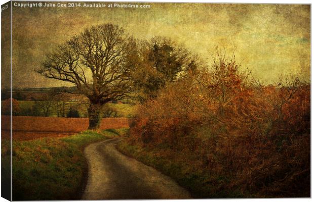 Rural Walks Canvas Print by Julie Coe
