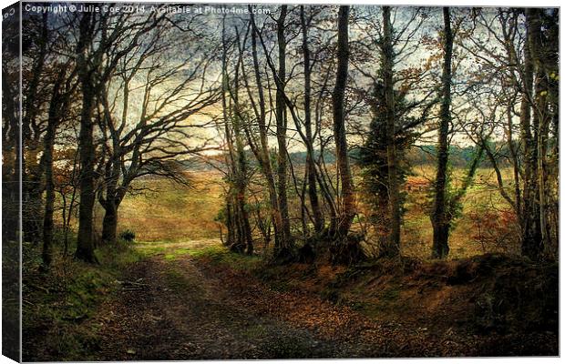 Woodland Walk 2 Canvas Print by Julie Coe