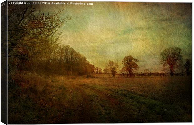 Over A Field Canvas Print by Julie Coe