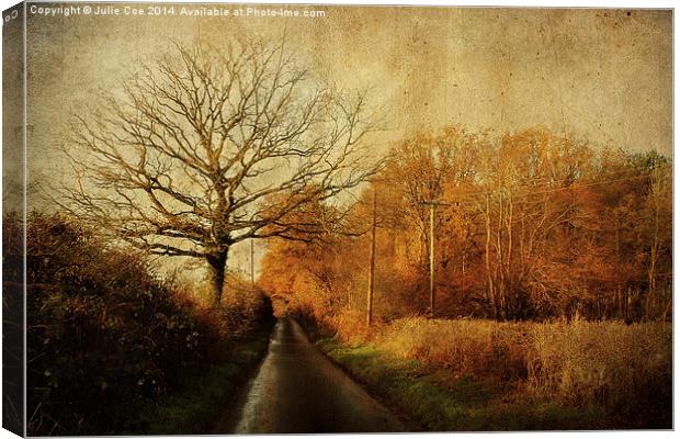 Barningham Road Home. Canvas Print by Julie Coe