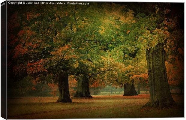 Through Trees Canvas Print by Julie Coe