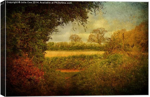 Footpath Canvas Print by Julie Coe