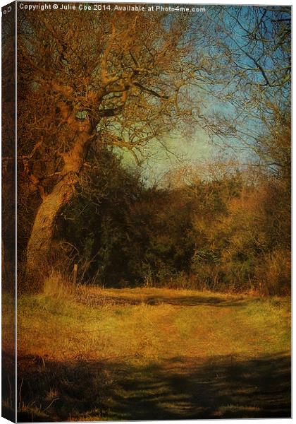 Walking The Countryside Canvas Print by Julie Coe