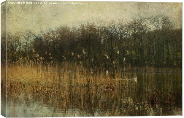 Swans At Selbrigg Canvas Print by Julie Coe